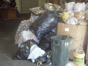 Trash versus Recycling in Georgia